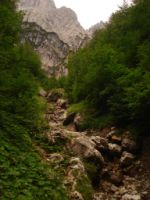 2014-08-02_06FritzPflaum-Steig (405).JPG